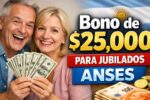 Bono de $25,000 para jubilados ANSES: quiénes lo reciben, trámite online y acreditación en febrero 2026